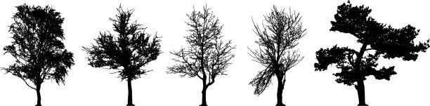树的轮廓集图片下载