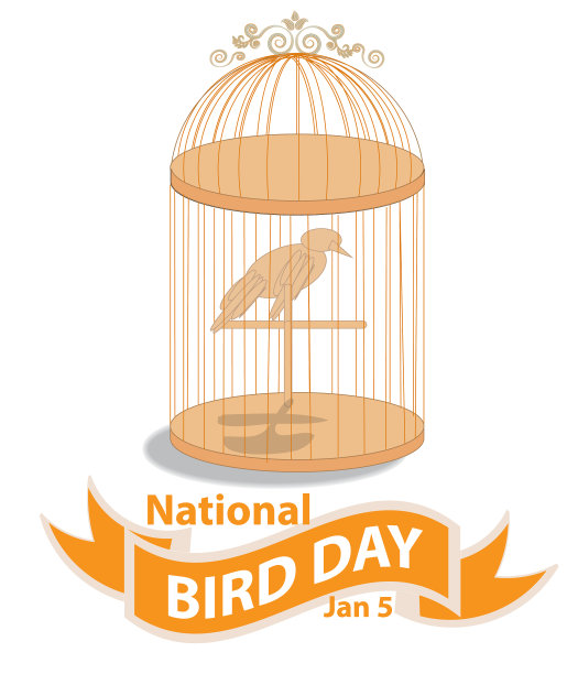 国家鸟类日标志和图片下载