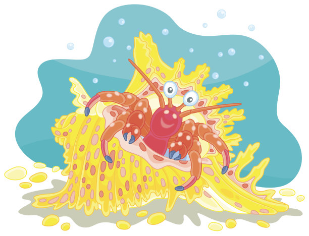 带着奇特热带壳的寄居蟹图片下载