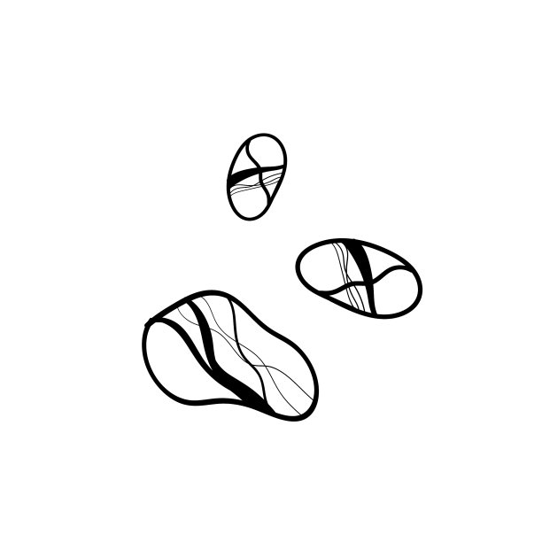 一套天然海石，孤立在白色图片下载