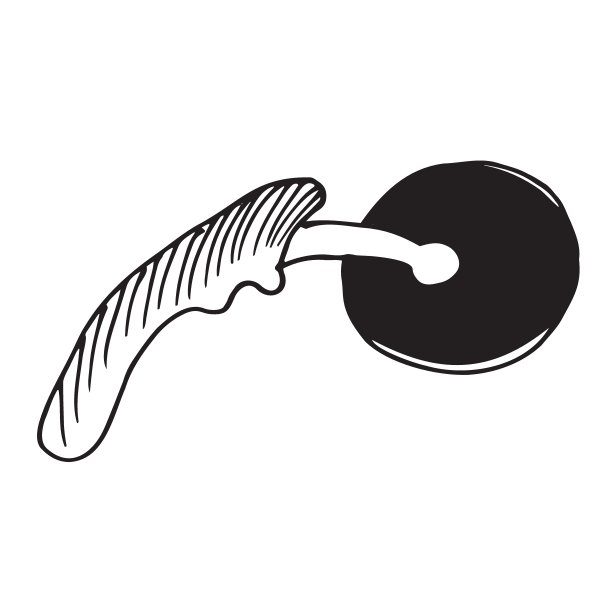 披萨刀，涂鸦风格，素描插图。矢量手绘草图-插图。图片下载