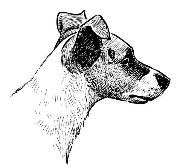 手绘一个可爱的黑白头像图片下载