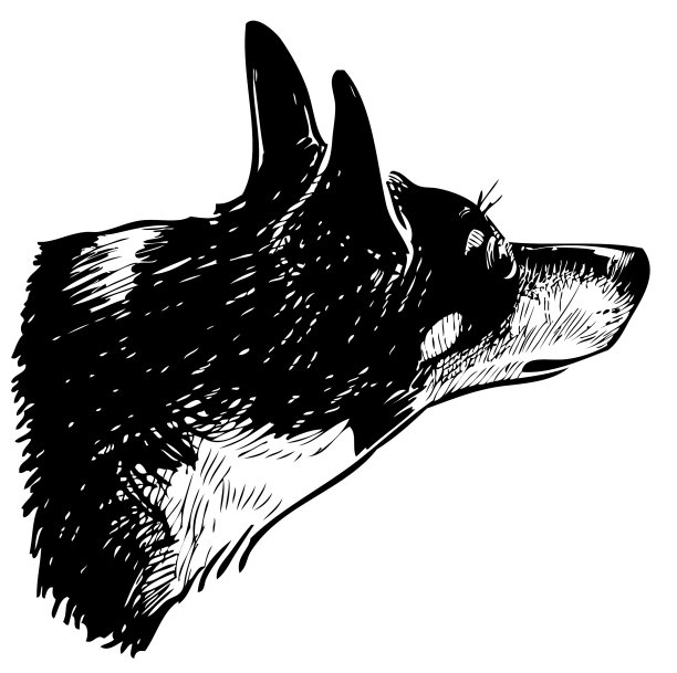 素描头可爱的黑白小狗图片下载