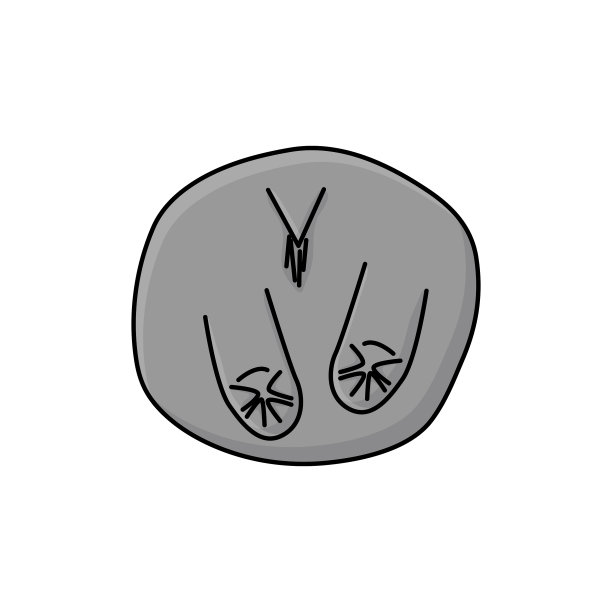 可爱的灰色屁股后视图卡通河马动物图片下载