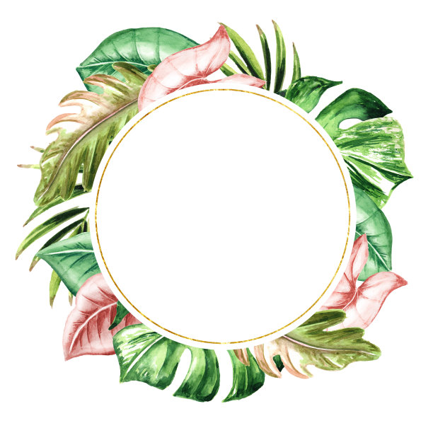 异国情调的热带或丛林植物圆卡，婚礼邀请，保存日期，谢谢，邀请模板和背景，水彩手绘孤立插图图片下载