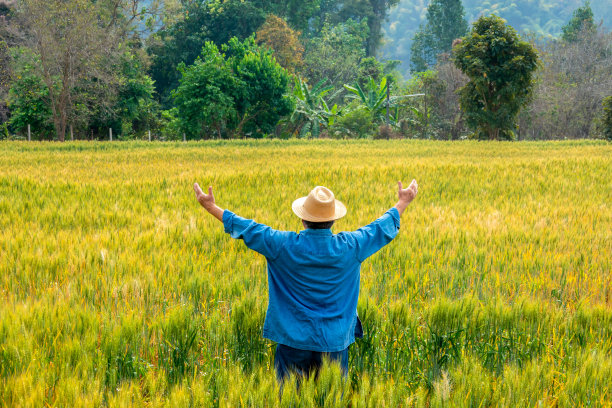 后视镜中，亚洲资深农场主正幸福地站在麦田里图片下载