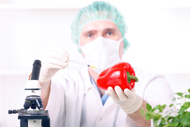 转基因植物研究员图片下载