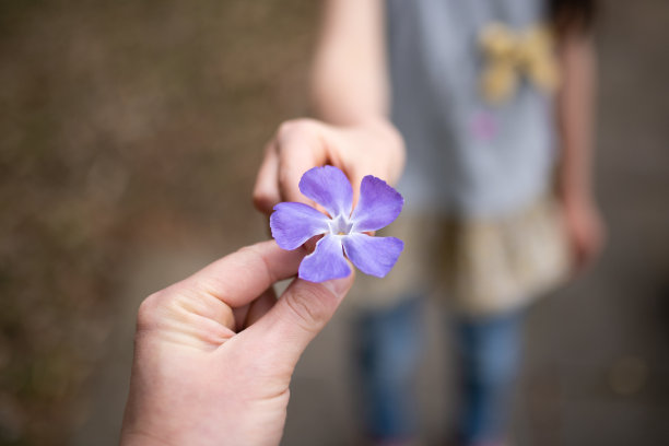 父母和孩子手握紫罗兰花图片下载