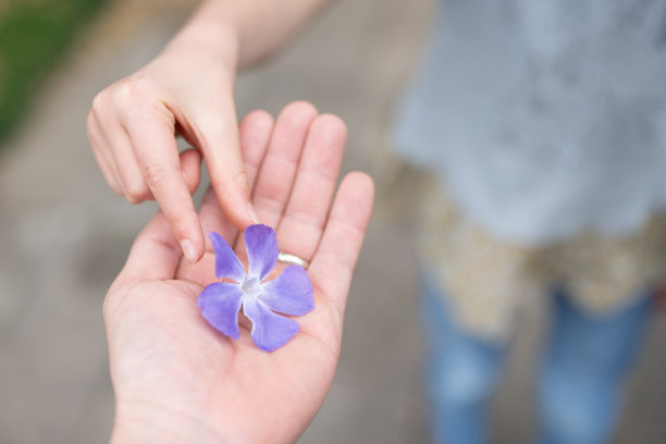 父母和孩子手握紫罗兰花图片下载