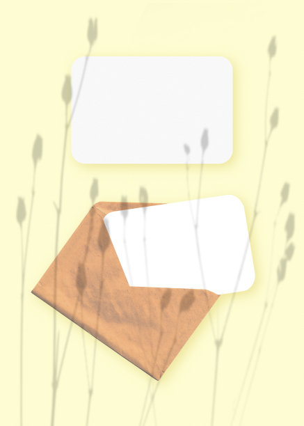 模型与覆盖的植物阴影信封与两张纹理白纸在黄色的桌子背景。垂直方向图片下载