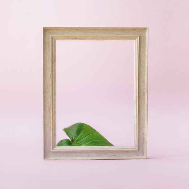 木制框架后面是棕榈绿色的叶子。副本的空间。粉红色的背景。图片下载