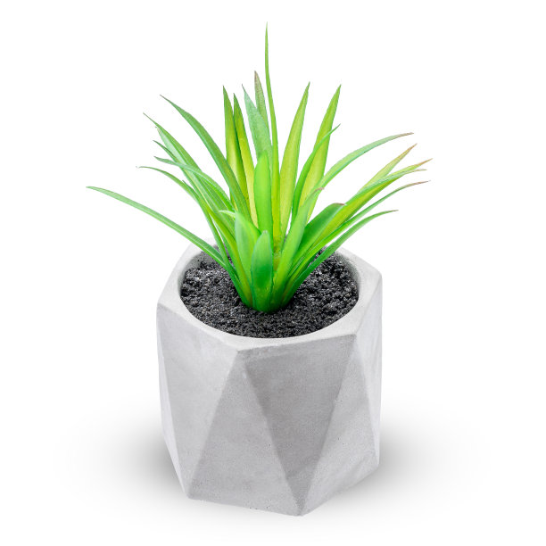 水泥罐内的人工植物孤立在白色背景上。假花设计元素剪出来图片下载