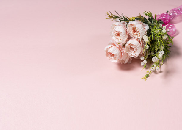 柔和的背景上有玫瑰丛。图片下载