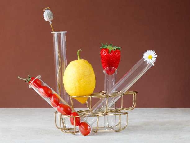 仍然生活。蔬菜和水果柠檬，草莓，樱桃番茄图片下载