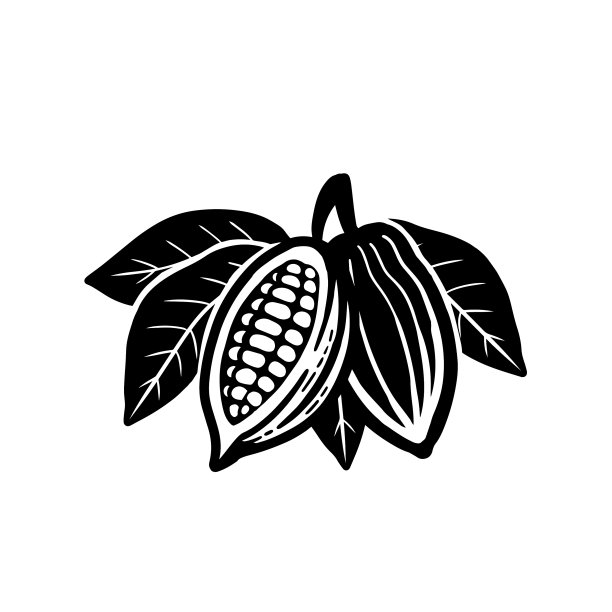 可可豆图标孤立的白色背景图片下载