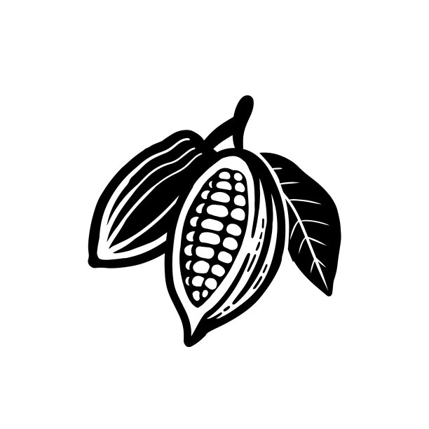 可可豆黑色符号孤立在白色上图片下载