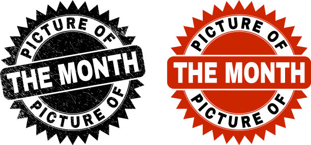 图片上的月黑色玫瑰图章与图片下载