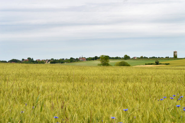 农业平原图片下载