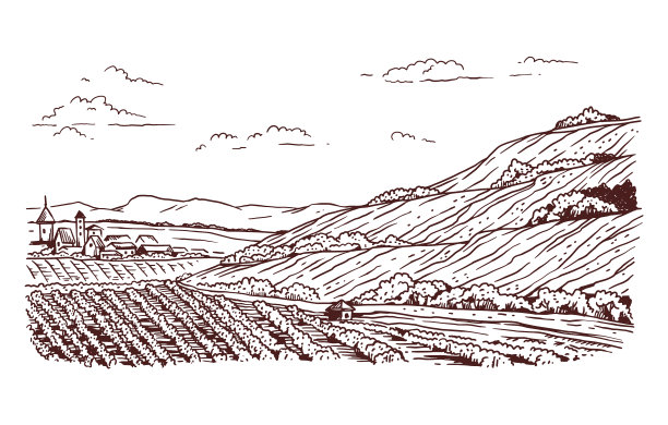 景观以乡村农业和农场为主图片下载