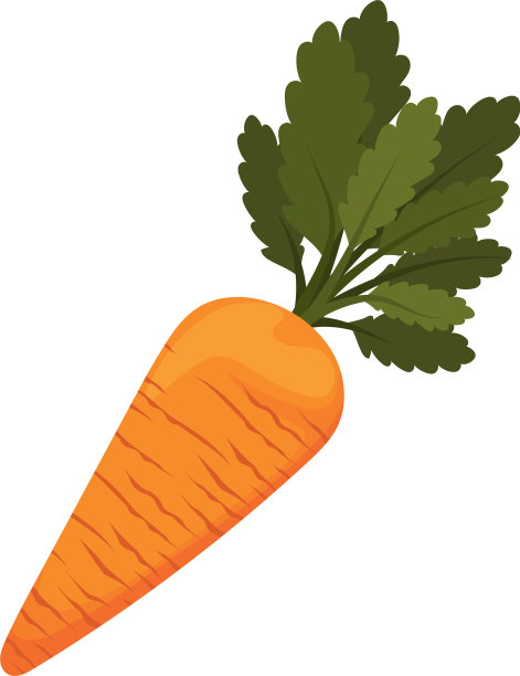 橙色的胡萝卜图片下载