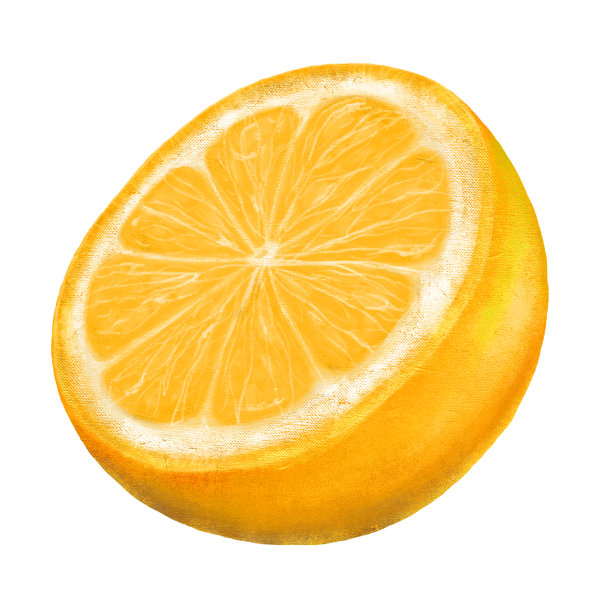 一半柠檬在一个切割，股票插图在白色的背景，在复古风格图片下载
