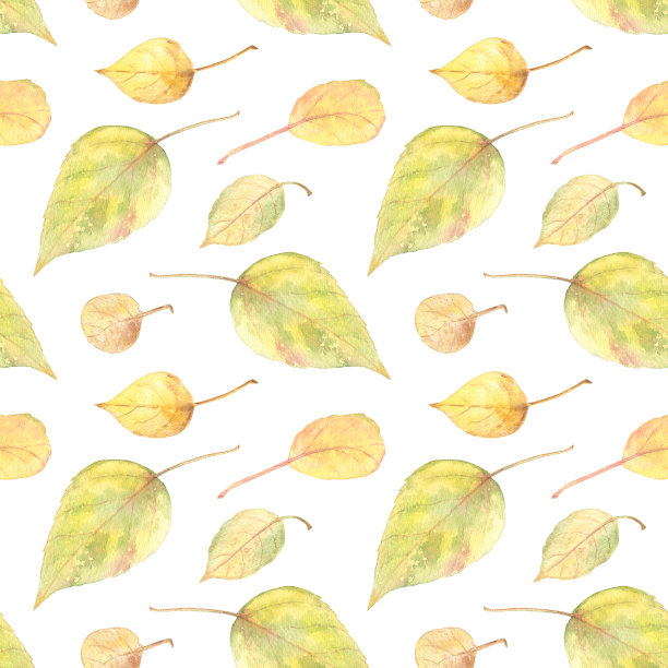 秋叶黄绿无缝图案。水彩插图。完美的秋季壁纸，织物，家庭装饰和文具。图片下载