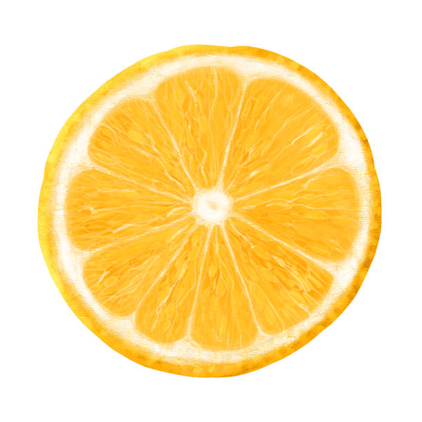柠檬片，白色背景上的插图，复古风格图片下载