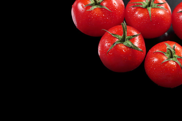 黑色背景上的新鲜番茄图片下载