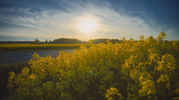 斯德哥尔摩埃克罗-秋天田野的鸟瞰图20-09-01。高质量的照片图片下载