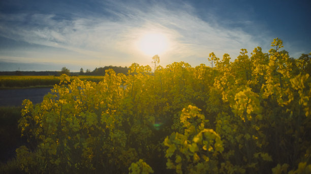 斯德哥尔摩埃克罗-秋天田野的鸟瞰图20-09-01。高质量的照片图片下载