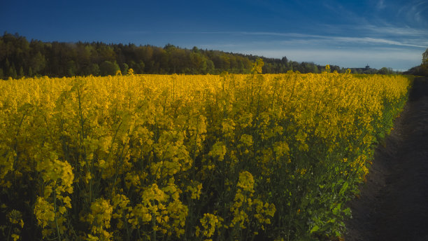 斯德哥尔摩埃克罗-秋天田野的鸟瞰图20-09-01。高质量的照片图片下载