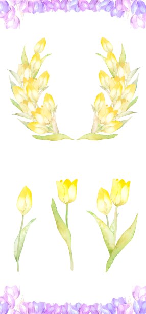 郁金香水彩框架图片下载