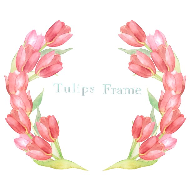 郁金香水彩框架图片下载