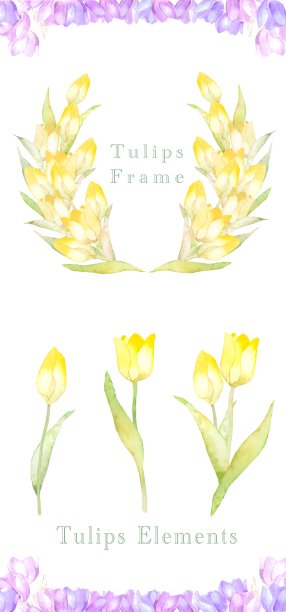 郁金香水彩框架图片下载