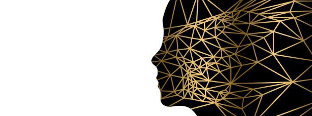 抽象的女性轮廓和白色背景图片下载