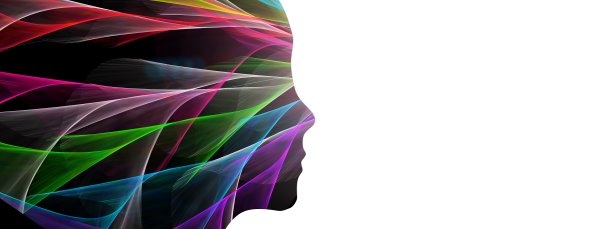 3D渲染抽象女性轮廓轮廓和白色背景图片下载