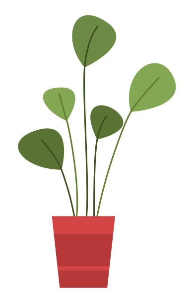 装饰用的绿色植物，长叶，陶瓷图片下载