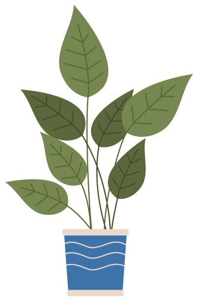 装饰用的绿色植物，长叶，陶瓷图片下载