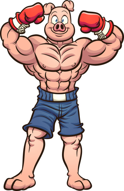 拳击手猪图片下载
