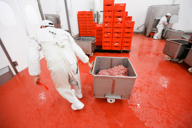 在一家肉类加工厂，一名工人把在工业过程中切碎的生肉装在不锈钢板条箱里。图片下载
