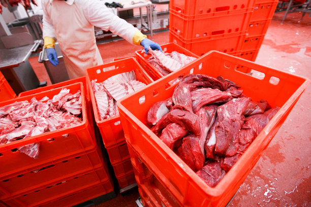 许多红塑料盒装着剁碎的新鲜生肉，存放在肉品加工厂，工业加工。水平的观点。图片下载