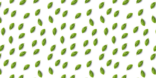食物模式背景-罗勒叶图片下载