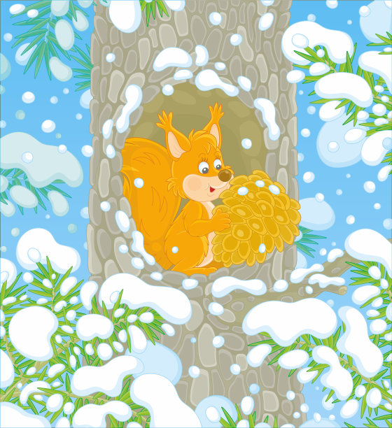 洞中有锥形的红松鼠图片下载