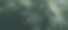 透过磨砂玻璃看到的绿色花园的模糊景象。,暗色调图片下载