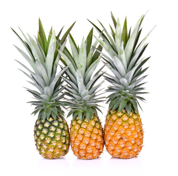 在白色背景上分离的菠萝图片下载