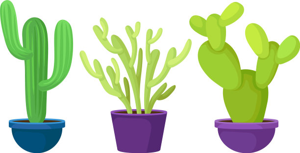 绿色的仙人掌和肉质植物在里面生长图片下载