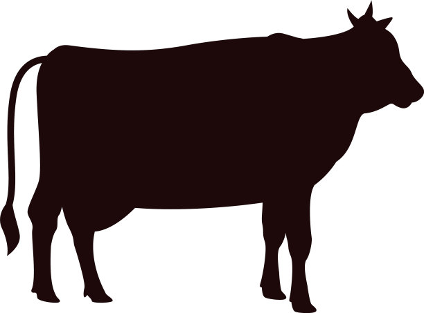 牛图标设计模板孤立图片下载