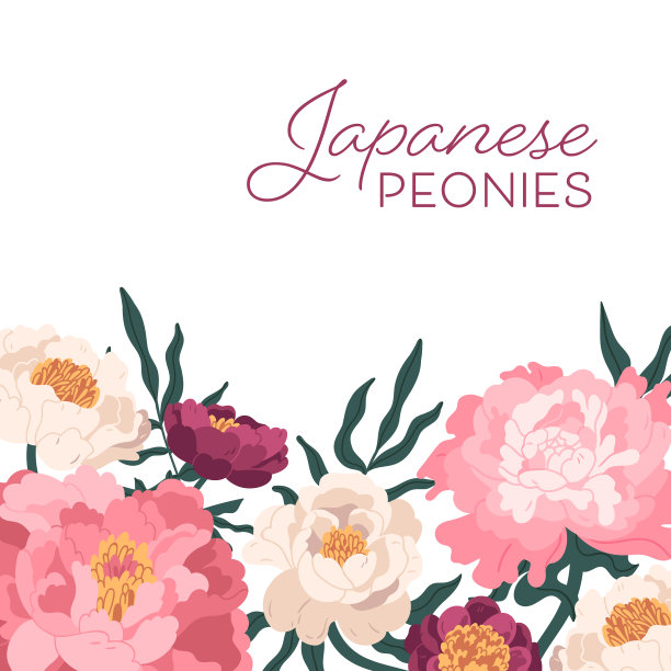 优雅的日本牡丹背景平图片下载