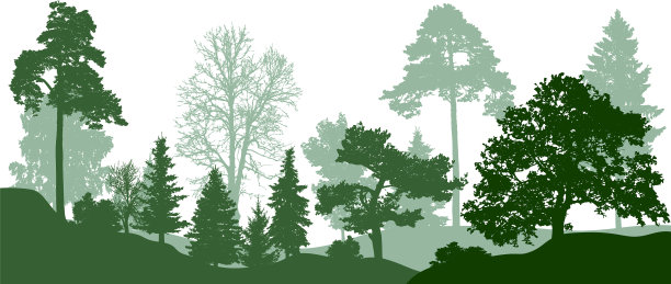 森林绿树剪影自然公园图片下载