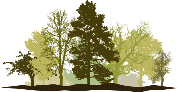 树木森林春天的剪影图片下载